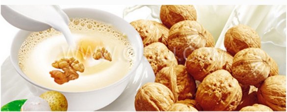 核桃深加工——核桃油，核桃粉，核桃工藝品，活性炭制品(圖8)