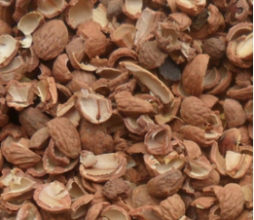 核桃深加工——核桃油，核桃粉，核桃工藝品，活性炭制品(圖3)