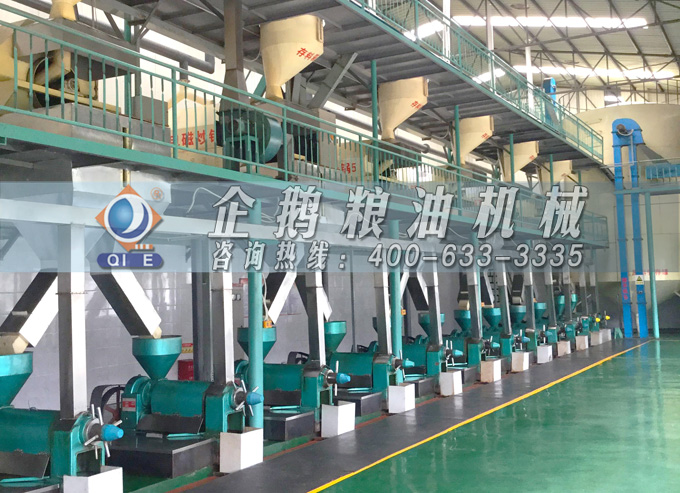 如何降低壓榨花生油中黃曲霉毒素含量？企鵝糧油機械為您提供可靠方法(圖2)