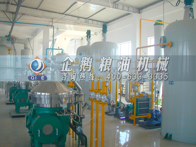 如何投資建設(shè)棕櫚油加工廠？企鵝糧油機(jī)械在線為您答疑解惑(圖2)