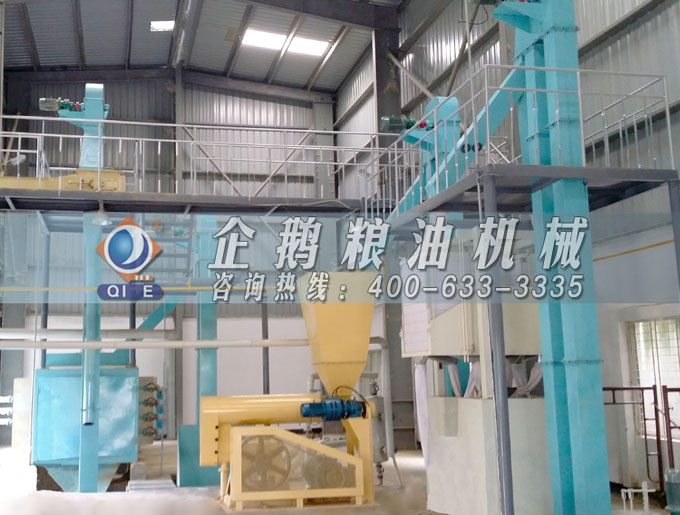 如何投資建設(shè)棕櫚油加工廠？企鵝糧油機(jī)械在線為您答疑解惑(圖4)