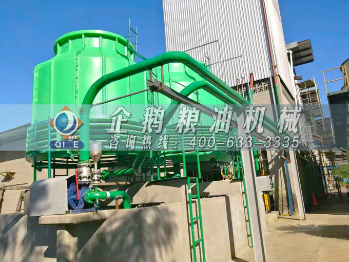 如何投資建設(shè)棕櫚油加工廠？企鵝糧油機(jī)械在線為您答疑解惑(圖3)