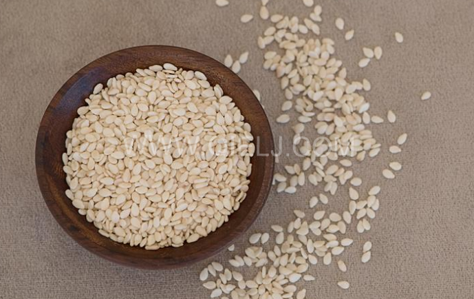 芝麻油壓榨處理設(shè)備，企鵝牌液壓榨油機勇于創(chuàng)新生產(chǎn)效率高(圖1)