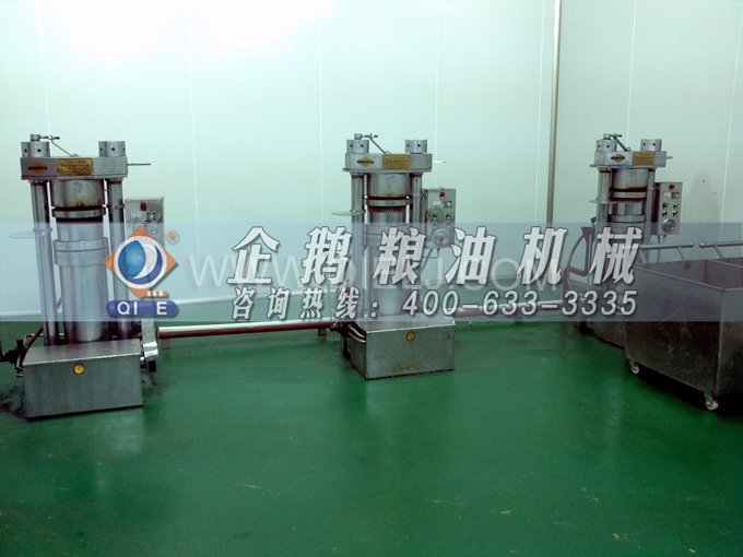 芝麻油壓榨處理設(shè)備，企鵝牌液壓榨油機勇于創(chuàng)新生產(chǎn)效率高(圖4)